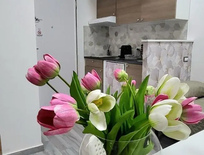 Illuvia 2 Appartement *