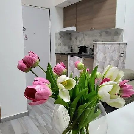 Illuvia 2 Appartement *